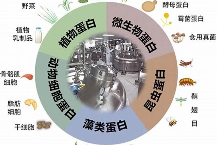 饲料酵母和酵母蛋白饲料有什么区别