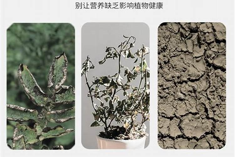 化肥是什么原料做的