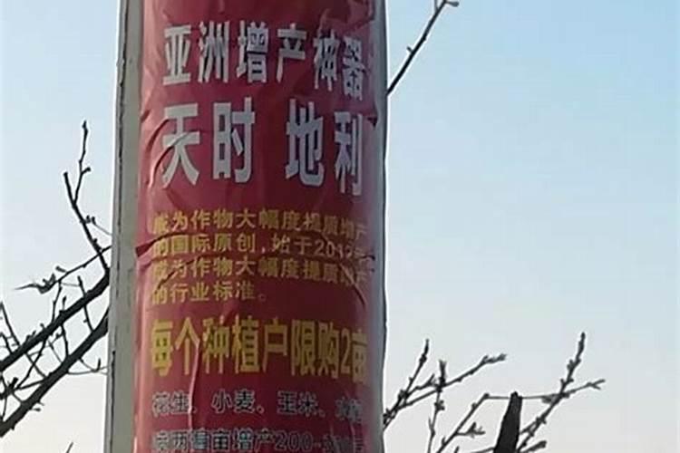 怎样解除果树农药药害