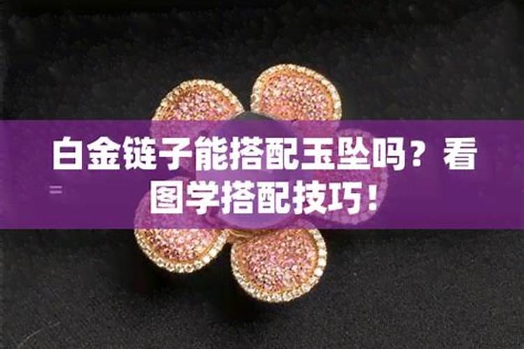 玉坠多肉养殖方法和注意事项
