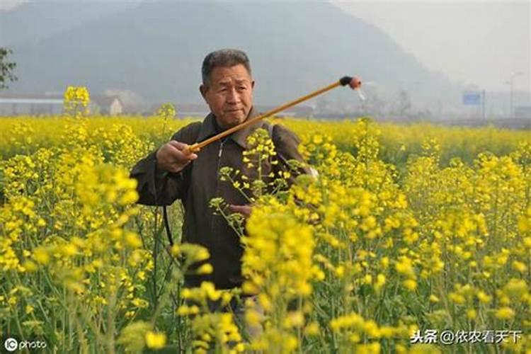 东莞市瑞采特贸易有限公司怎么样？