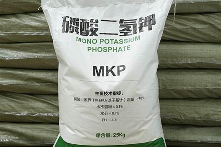 果树刚长熟就掉果怎么办？