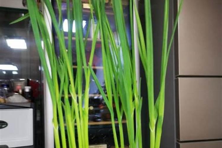 复合肥氮磷钾含量标准