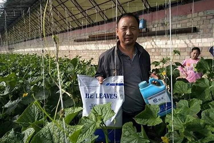 哪些观赏鱼不适合弱碱性的水