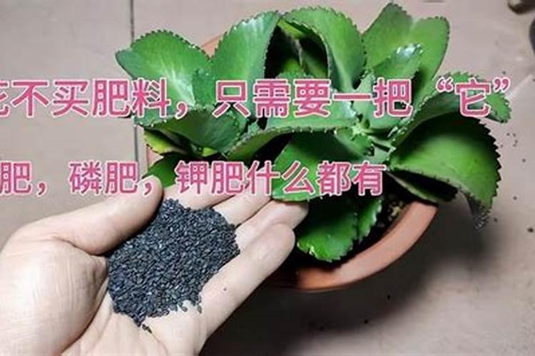 增碳剂的增碳剂的种类