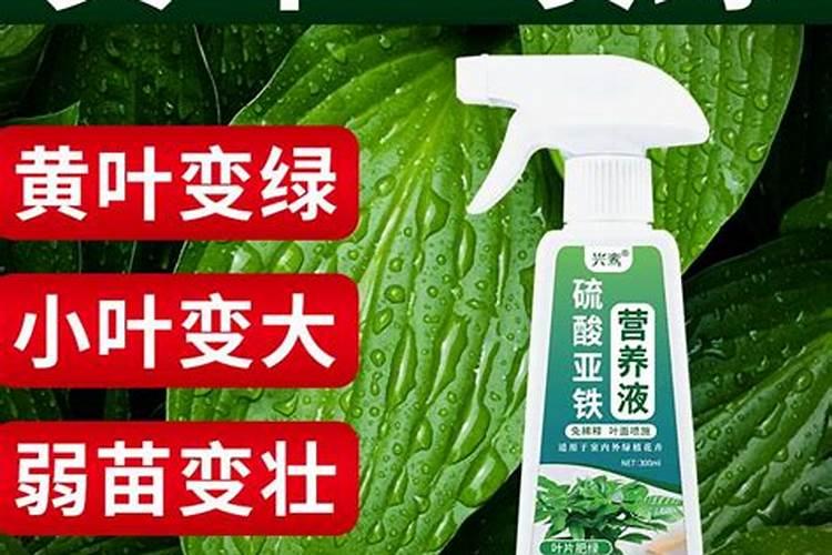 水稻包衣剂什么牌子好