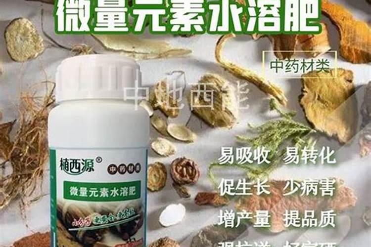 现在种玉米用什么肥料最好