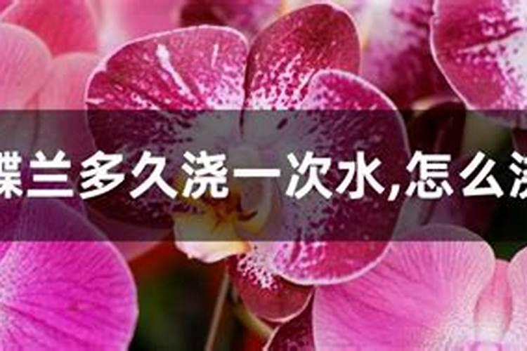 李子树增甜施什么肥料好？让李子膨大的方法是什么？