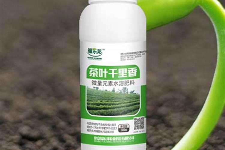 茶叶专用肥料