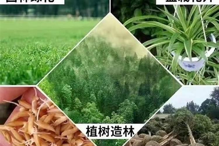 硼肥可施红薯吗？