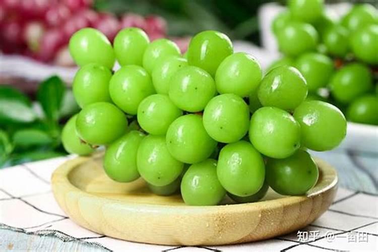 红土适合种什么植物啊？