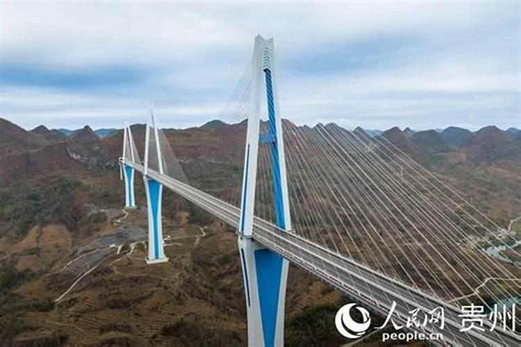 鱼蛋白水溶肥可以浇什么花？