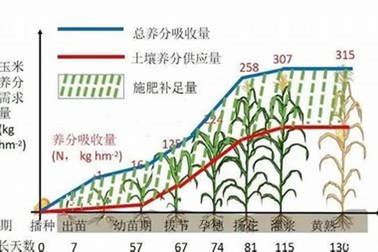 桃树的需肥特性是怎样的？