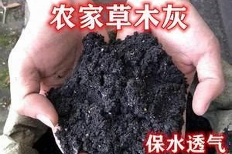尿液可以做肥料吗