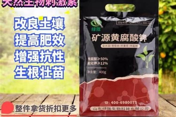 发财树怎样施肥
