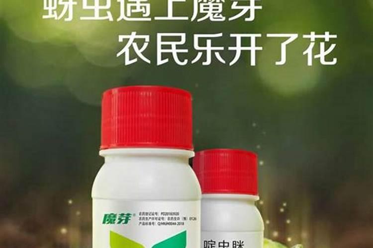 福寿螺螺壳的营养成分是什么能做为饲料吗