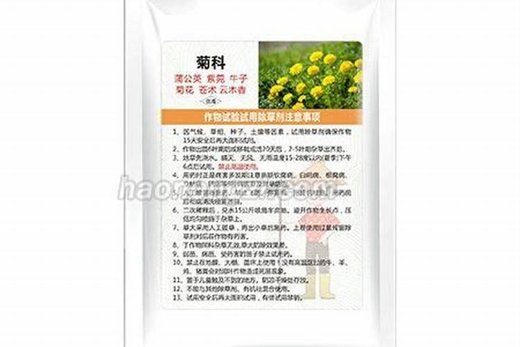 农博金草苍术如何种植？有哪些需要注意的？