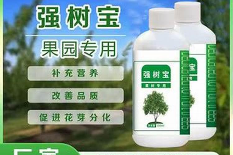 刚换盆的绣球小苗可以施水溶肥吗