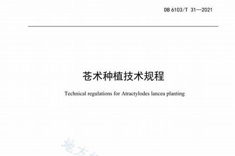 农博金草苍术如何种植？有哪些需要注意的？
