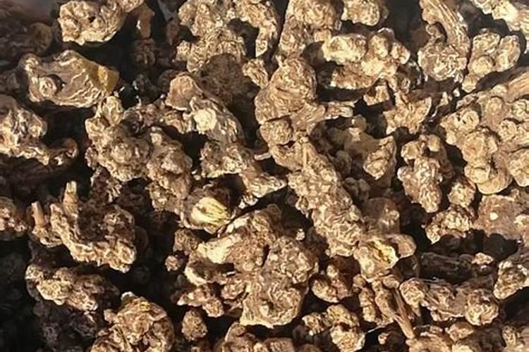 苍术用什么肥料最好