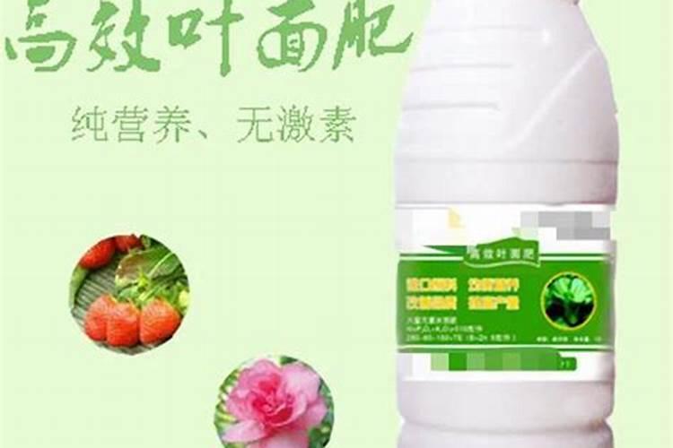 草甘膦与什么混用效果最好？