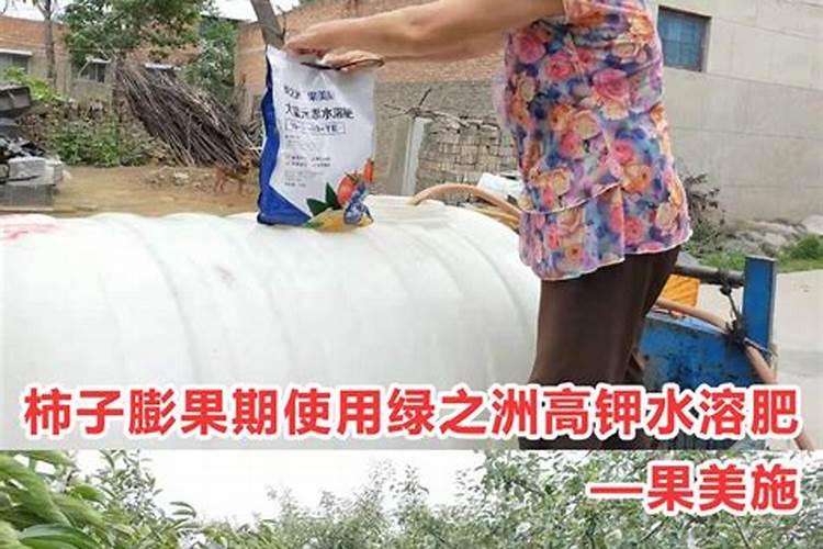 哪些速效肥