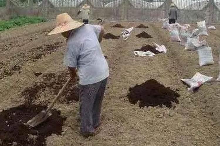 铵态氮肥与熟石灰反应是复分解反应吗 为什么不在水溶液中？固态可以反 ...
