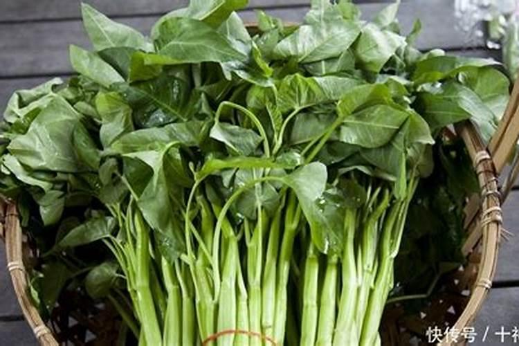 肥料中常见的氮、磷、钾三种元素,对植物有什么好处？谁能够说一下？百...