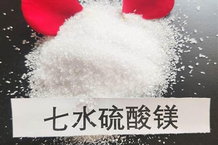春玉米几月份种植最好 什么时候种合适