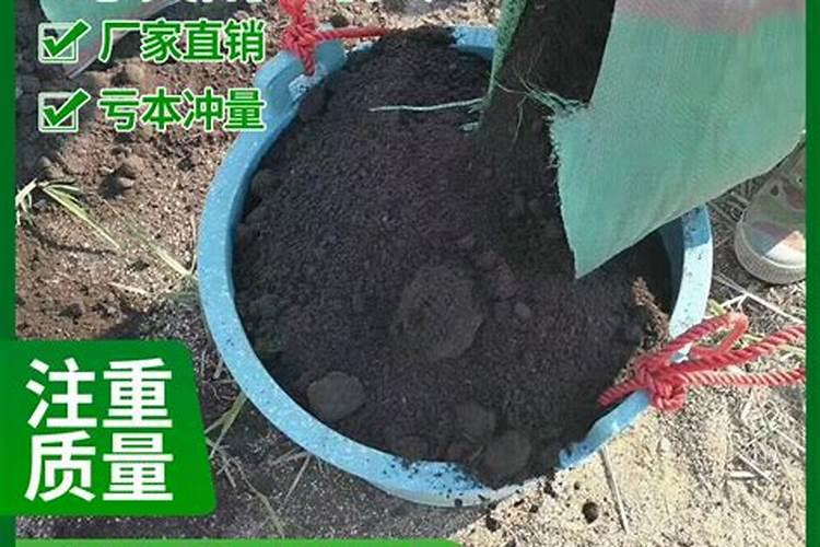 有机肥是什么东西做的