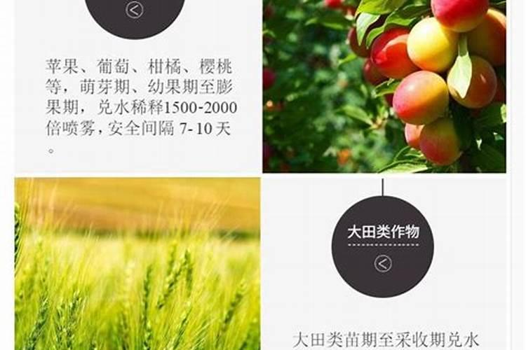 湖北爱多利肥业有限公司怎么样？