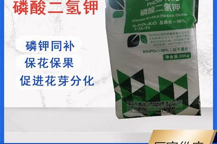 养鱼稻田如何施用氮肥