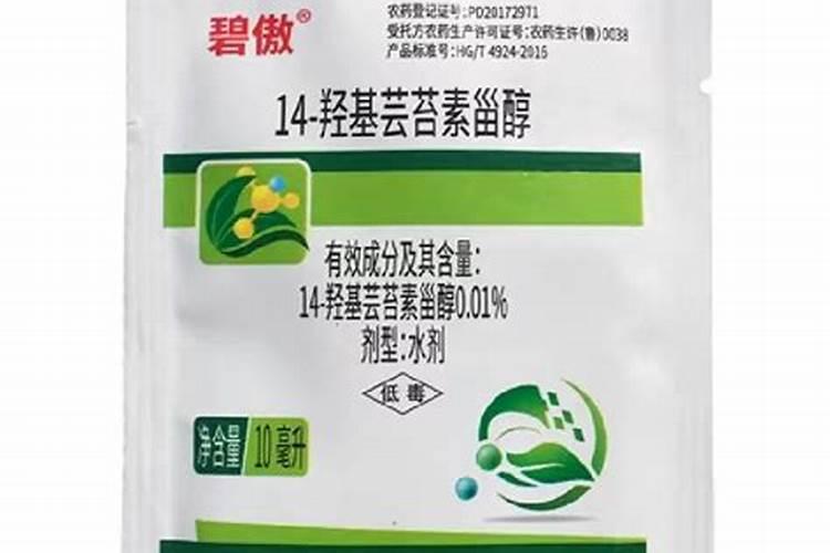 海粉是什么东西
