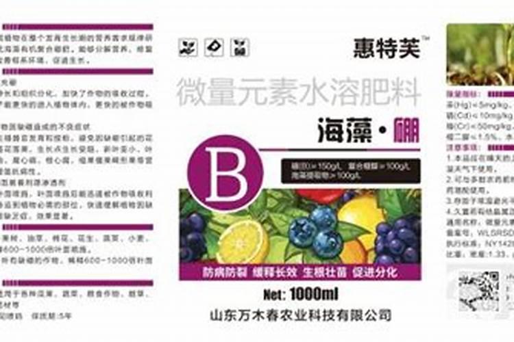 海外网红营销:卧兔上半年营收创新高,“双百计划”引领WotoKOL卧兔发展...