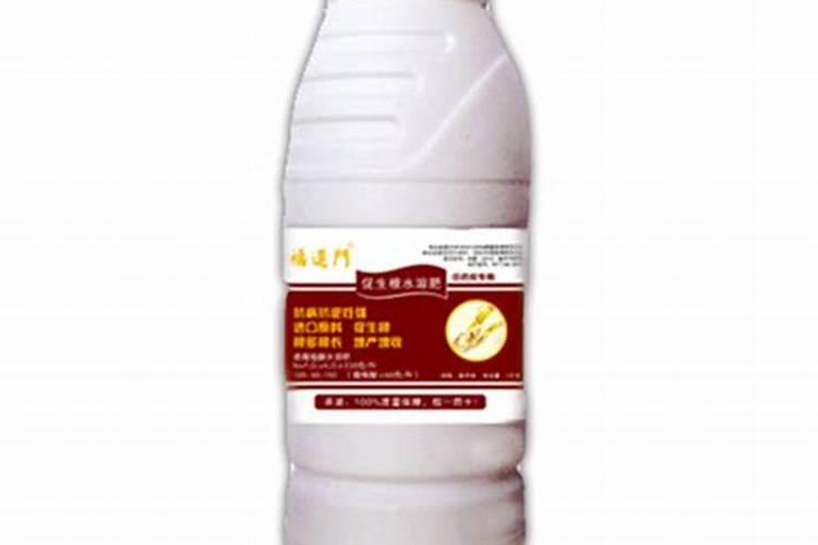 大棚卡罗拉玫瑰花种植技术