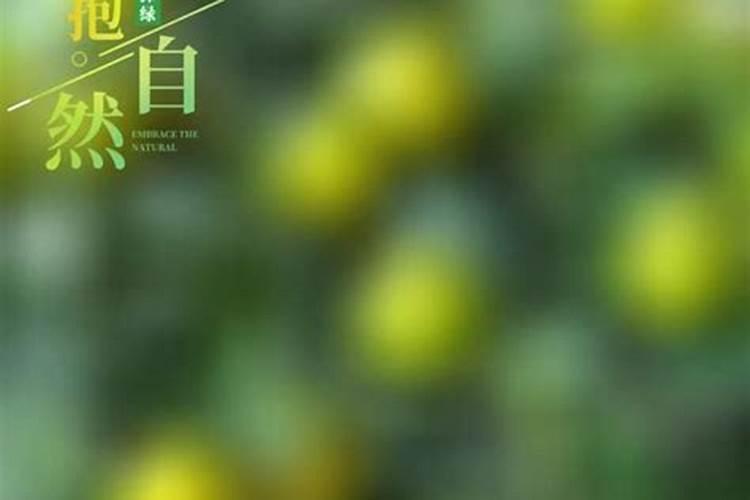 维生素C的食物来源有哪些？