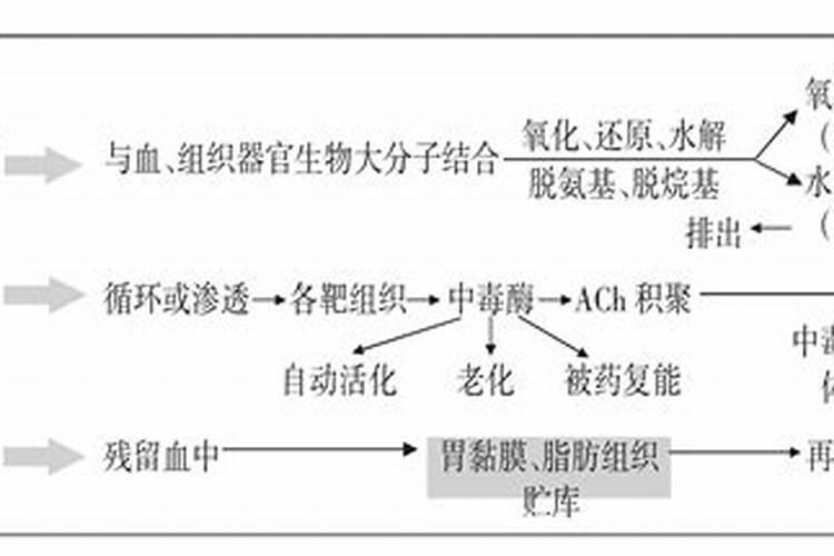 有机磷农药不能充当叶面肥使用,这是为什么？