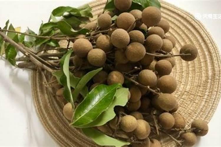 白掌和红掌越冬后怎么养？