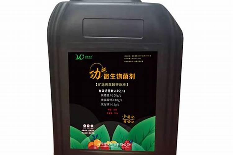 芋头用什么肥料最好