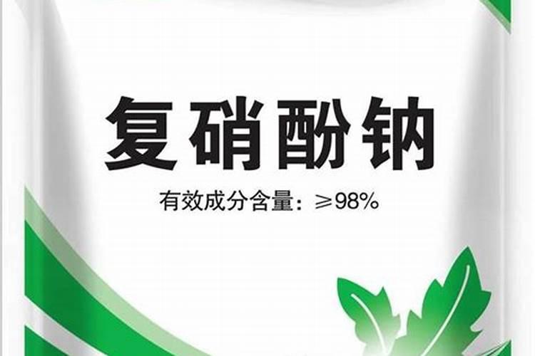 包菜怎么施肥 包菜的施肥时间及注意事项