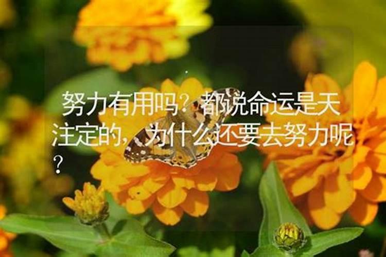 三季稻为什么不如两季稻？