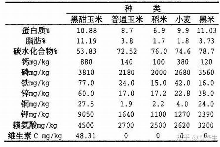 黑玉米黑玉米的功效