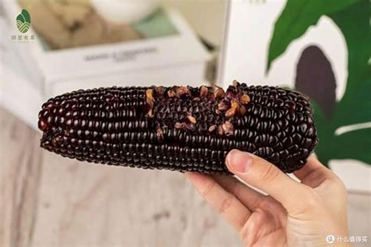 紫玉米(黑玉米)的突出营养价值