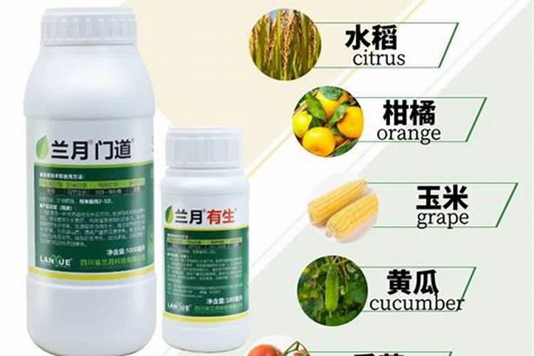 西红柿什么时候浇膨果肥