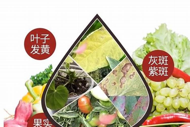 老师晚上好,柚子这样是怎么造成的,平时怎么预防？