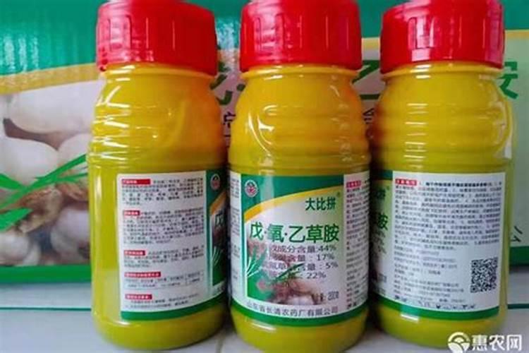 玉米与马铃薯套种可以用封地除草剂吗？