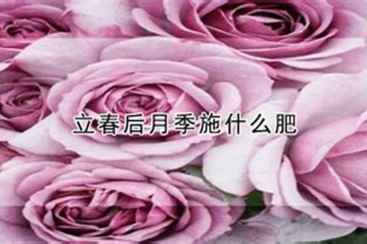 哪种叶面用的钙肥吸收好