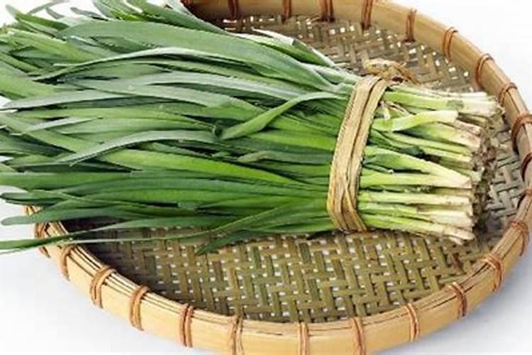 韭菜用什么肥料