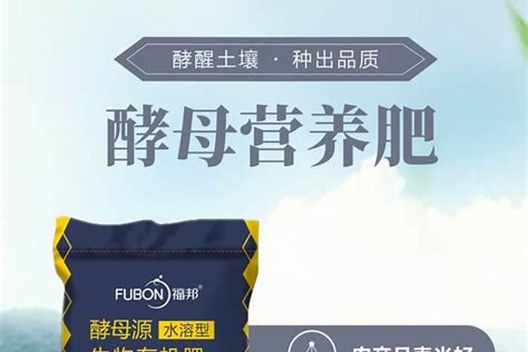 有机水溶肥能代替发酵剂吗
