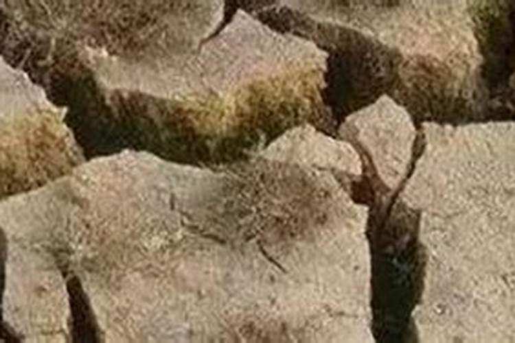 改善土壤板结用什么肥料